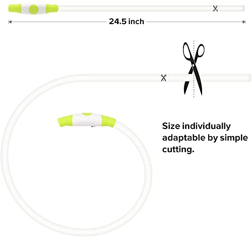 BSeen LED Pet Collar, USB Rechargeable, Glowing for Night Safety, Fashion Light up Collar for Small Medium Large Dogs (Pink)