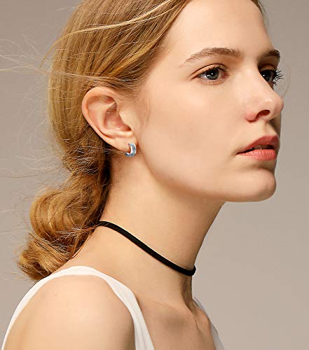 Stainless Steel Hoop Earrings For Men's Women's,Silver/Gold/Black/Blue Hypoallergenic Round Huggie Earrings,Fashion Punk Earrings Piercing Jewelry Gift for Boys Girls