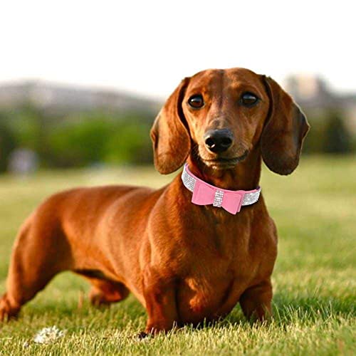 Rhinestone Dog Collar, Cute Dazzling Sparkling Soft Suede Leather Dog Cat Rhinestone Collar Crystal Diamond Pet Dog Puppy Collar (XS, Blue-1)