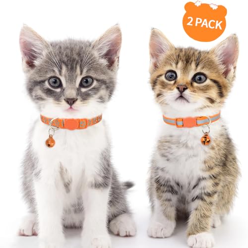 Taglory Reflective Cat Collars Breakaway with Bell, 2-Pack Girl Boy Pet Kitten Collar Adjustable 7.5-12.5 Inch, Green