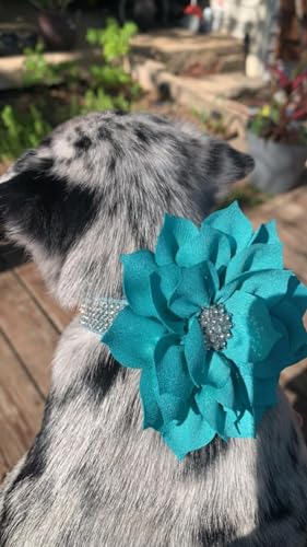 Rhinestone Dog Collar, Cute Dazzling Sparkling Soft Suede Leather Dog Cat Rhinestone Collar Crystal Diamond Pet Dog Puppy Collar (XS, Blue-1)
