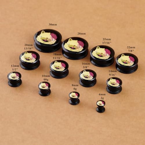 2PCS Acrylic Solid Screw On Ear Plugs and Tunnels Hand Drawn Illustrations Epoxy Allergy Free Ear Gauge Stretcher For Women Men Body Piercing Jewelry