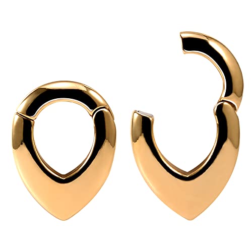 Ear Hanger Weights for Stretched Ear Lobe Stainless Steel Ear Gauges 2g(6mm) Ear Plugs Tunnels Body Piercing Jewelry Kit