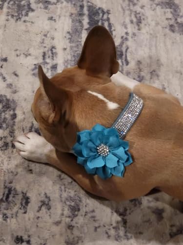 Rhinestone Dog Collar, Cute Dazzling Sparkling Soft Suede Leather Dog Cat Rhinestone Collar Crystal Diamond Pet Dog Puppy Collar (XS, Blue-1)