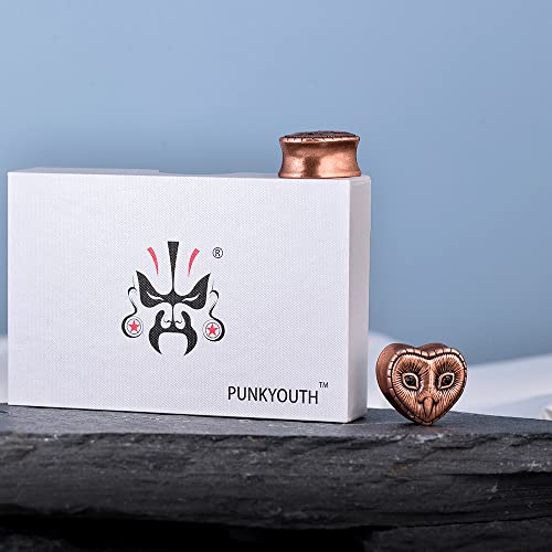 2PCS Ear Gauges Double Flared Plugs Sweet Cool Ear Stretcher Expander Heart Shape Gauge Earrings For Women Cute Piercings 0g-1"