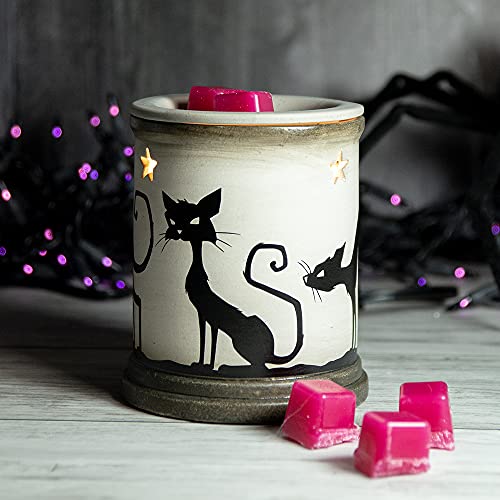 Scentsationals Halloween Collection - Scented Wax Warmer - Spooky Season Wax Cube Melter & Burner - Electric Autumn Fragrance Home Air Freshener Gift (Apothecary)