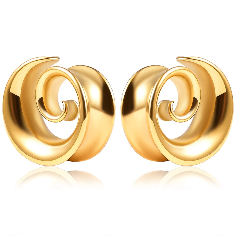 2PCS Spiral Saddle Ear Tunnels Plugs 316 Stainless Steel Ear Gauges Hypoallergenic Earrings Expander Stretcher Piercing Body Jewelry 0g-1"(8mm-25mm)