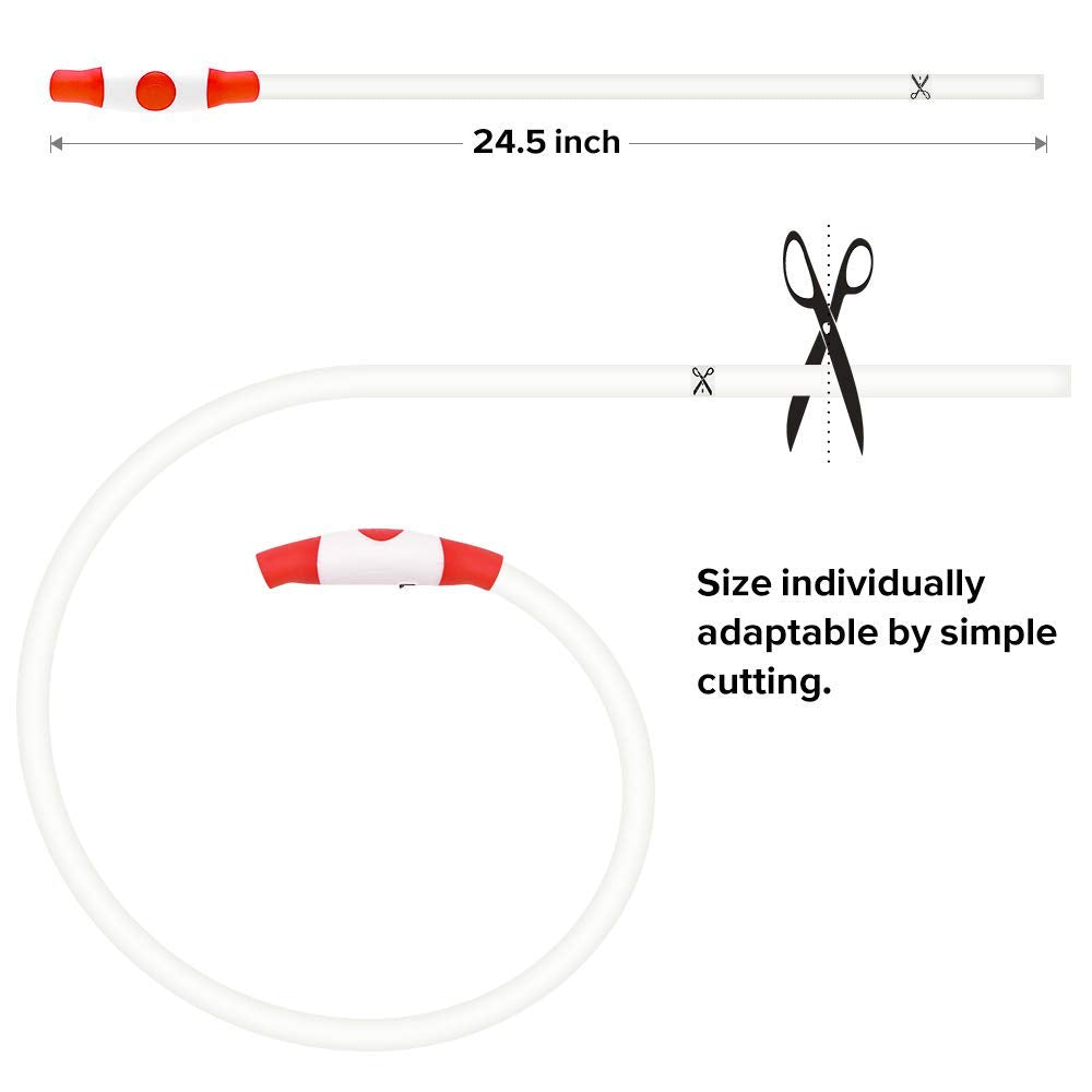 BSeen LED Pet Collar, USB Rechargeable, Glowing for Night Safety, Fashion Light up Collar for Small Medium Large Dogs (Pink)