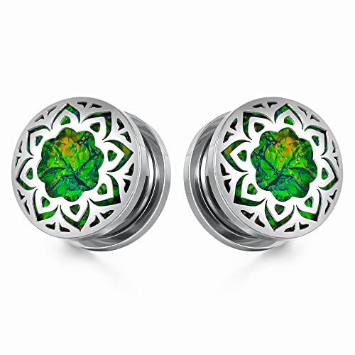 2PCS Surgical Steel 316L Screw Fit Tunnels Ear Expander Stretching Plugs Gauge 0G-1"(8mm-25mm)