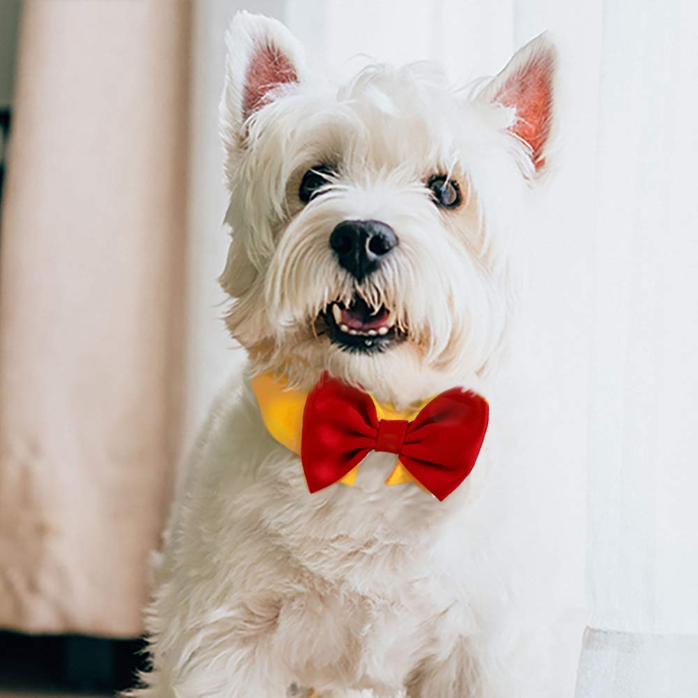 Handcrafted Adjustable Formal Pet Bowtie Collar Neck Tie for Dogs & Cats (S, Black)