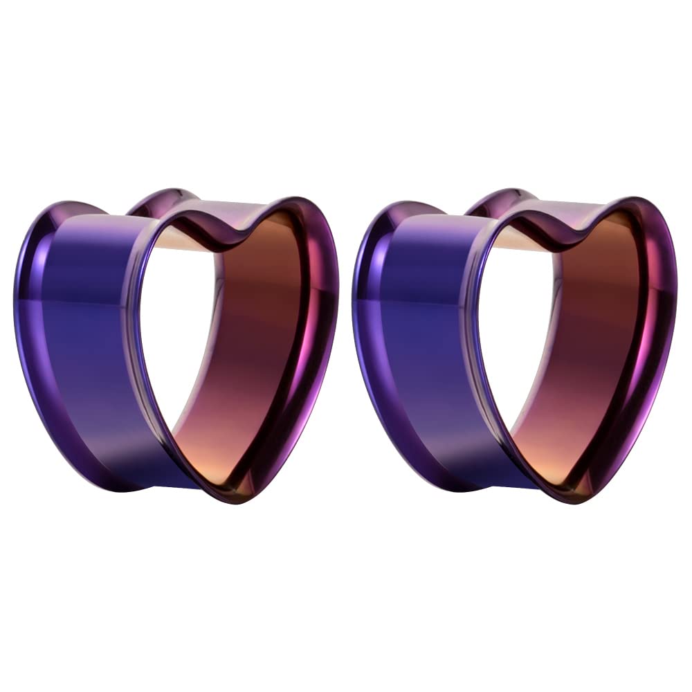 2PCS Stainless Steel Screw Ear Gauges Tunnels Hollow Double Flare Black Gold For Man For Woman Body Piercing Jewelry 6mm-30mm Stretcher