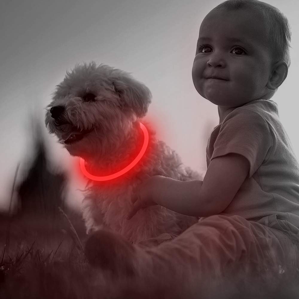 BSeen LED Pet Collar, USB Rechargeable, Glowing for Night Safety, Fashion Light up Collar for Small Medium Large Dogs (Pink)