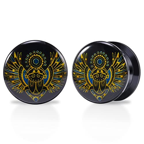 1 Pair Acrylic Solid Screw On Ear Plugs Tunnels Allergy Free 2g- 1 Inch Stretcher Steampunk Graffiti Pattern Color Painting For Women For Men Body Piercing Jewelry