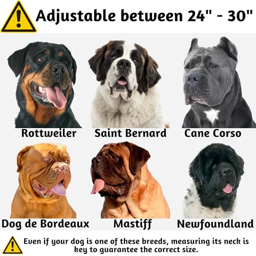 ADITYNA - Heavy Duty Dog Collar with Handle - Thick Dog Collar for Large Dogs - Wide, Reflective, Tactical, Soft Neoprene Padded - Perfect Dog Collar for Training and Walking