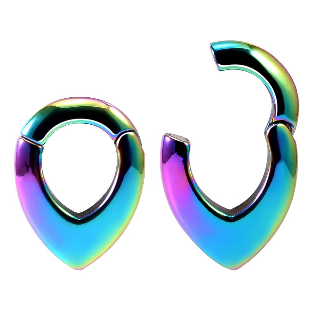 Ear Hanger Weights for Stretched Ear Lobe Stainless Steel Ear Gauges 2g(6mm) Ear Plugs Tunnels Body Piercing Jewelry Kit