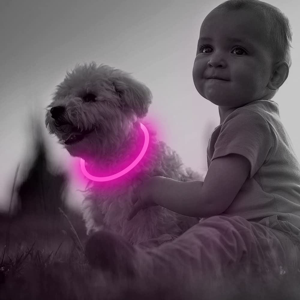 BSeen LED Pet Collar, USB Rechargeable, Glowing for Night Safety, Fashion Light up Collar for Small Medium Large Dogs (Pink)