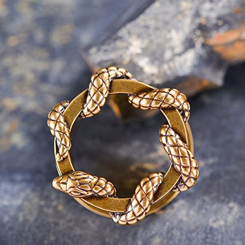 2PCS Stainless Steel Ear Gauges Screw Back Fit Tunnels For Ear Articulated Snake Cool Ear Stretchers Expander Double Flared Body Piercing Jewelry 0g-1inch