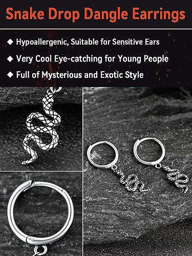 FaithHeart Dragon/Dinosaur/Snake Hoop Earrings for Men, Sturdy Stainless Steel Punk Biker Animals Hypoallergenic Jewelry, Gift Box