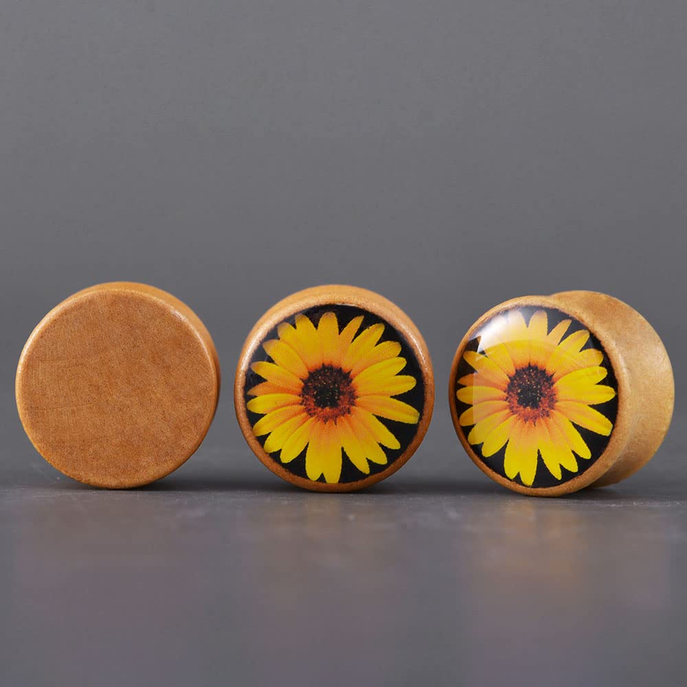 2 PCS Ear Gauges Resin Wood Stretching Ear Tunnels Expanders Body Piercing Jewelry