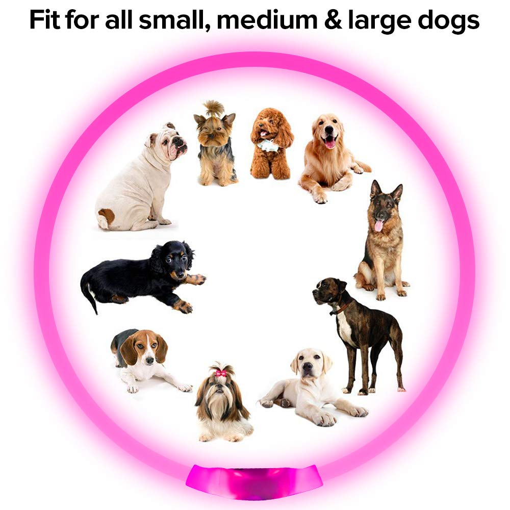 BSeen LED Pet Collar, USB Rechargeable, Glowing for Night Safety, Fashion Light up Collar for Small Medium Large Dogs (Pink)