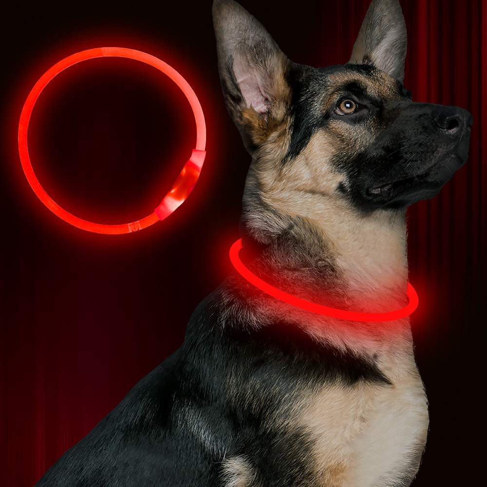 BSeen LED Pet Collar, USB Rechargeable, Glowing for Night Safety, Fashion Light up Collar for Small Medium Large Dogs (Pink)