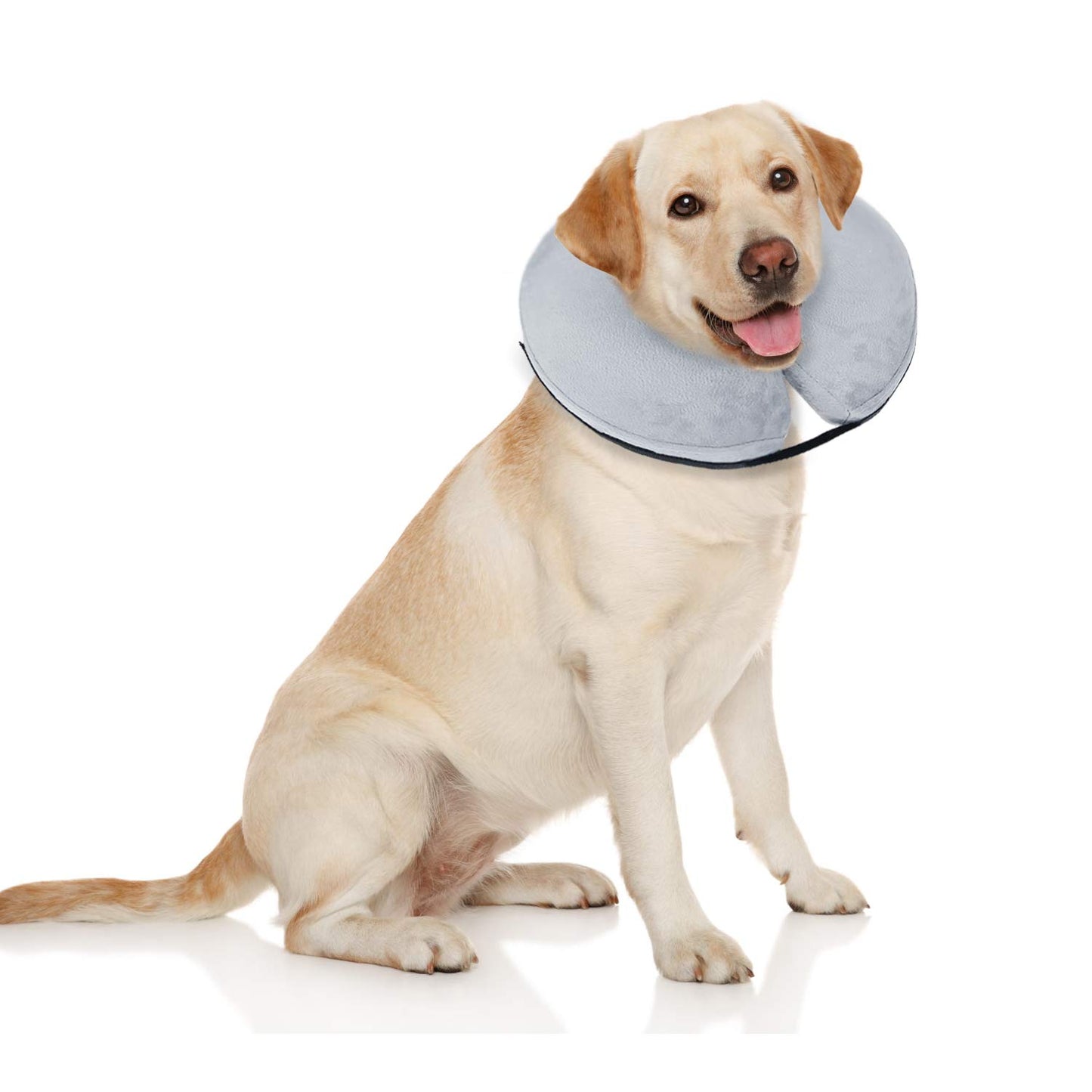 BENCMATE Protective Inflatable Collar for Dogs and Cats - Soft Pet Recovery Collar Does Not Block Vision E-Collar (X-Large, Blue)