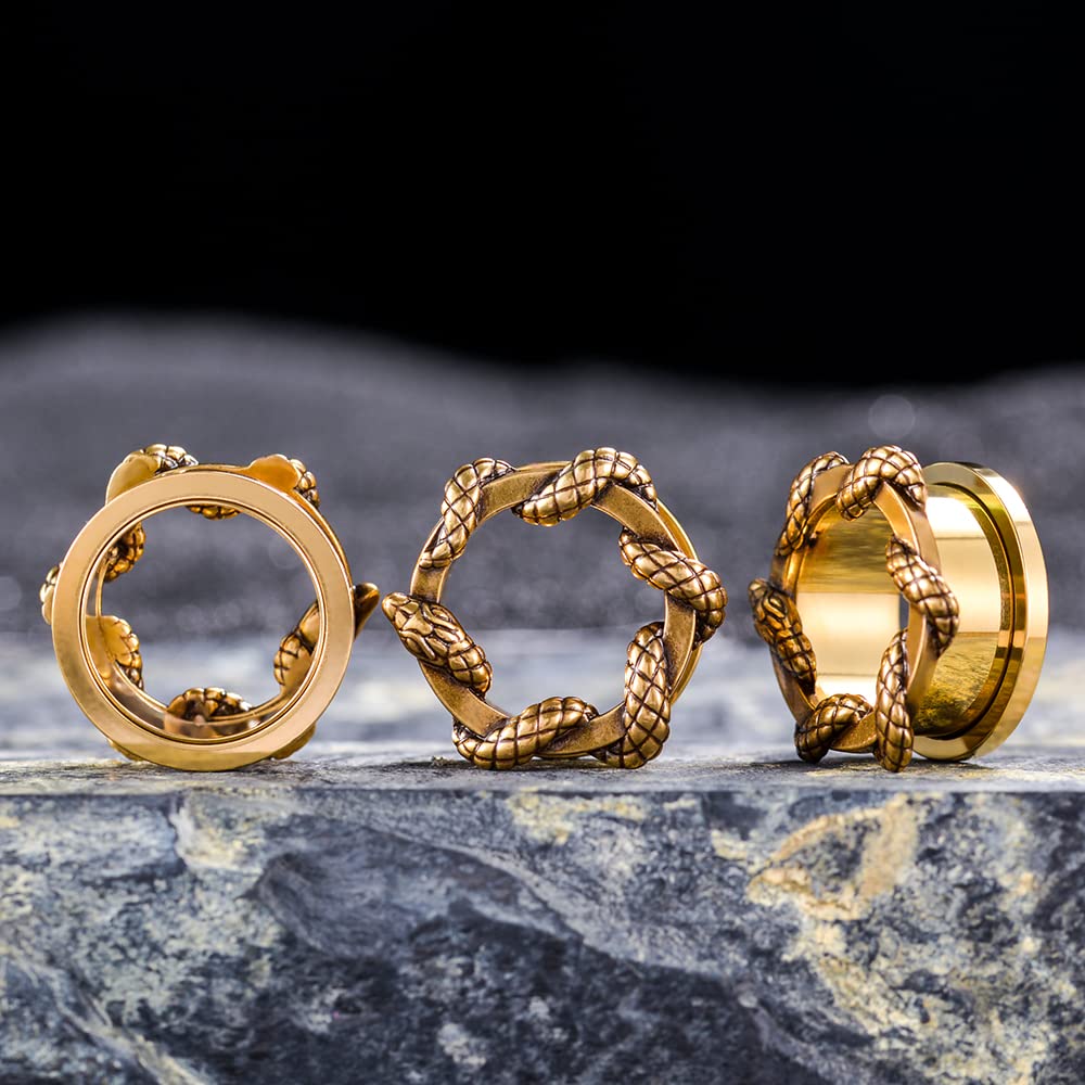 2PCS Stainless Steel Ear Gauges Screw Back Fit Tunnels For Ear Articulated Snake Cool Ear Stretchers Expander Double Flared Body Piercing Jewelry 0g-1inch