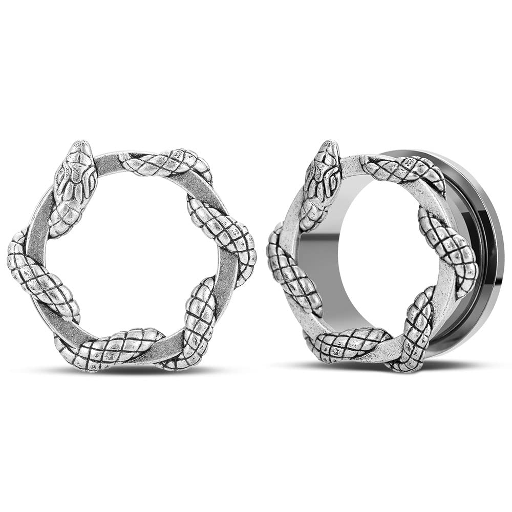 2PCS Stainless Steel Ear Gauges Screw Back Fit Tunnels For Ear Articulated Snake Cool Ear Stretchers Expander Double Flared Body Piercing Jewelry 0g-1inch