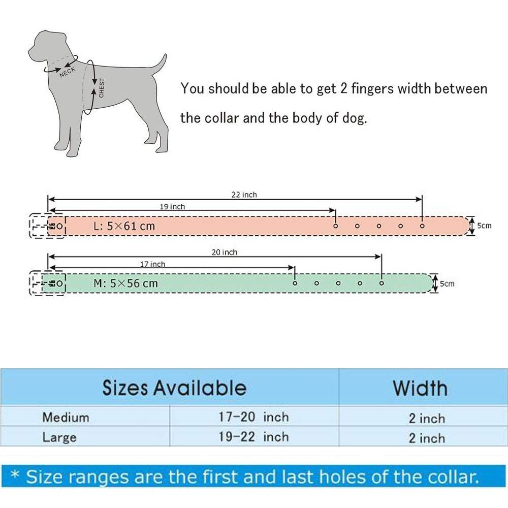 Rhinestones Dog Collars Flower Pattern Rhinestone Studded Leather Sparkly Crystal Diamonds Dazzling Elegant Fancy PU Leather Dog Collar for Medium & Large Dogs (M:17-20 inch, Purple)