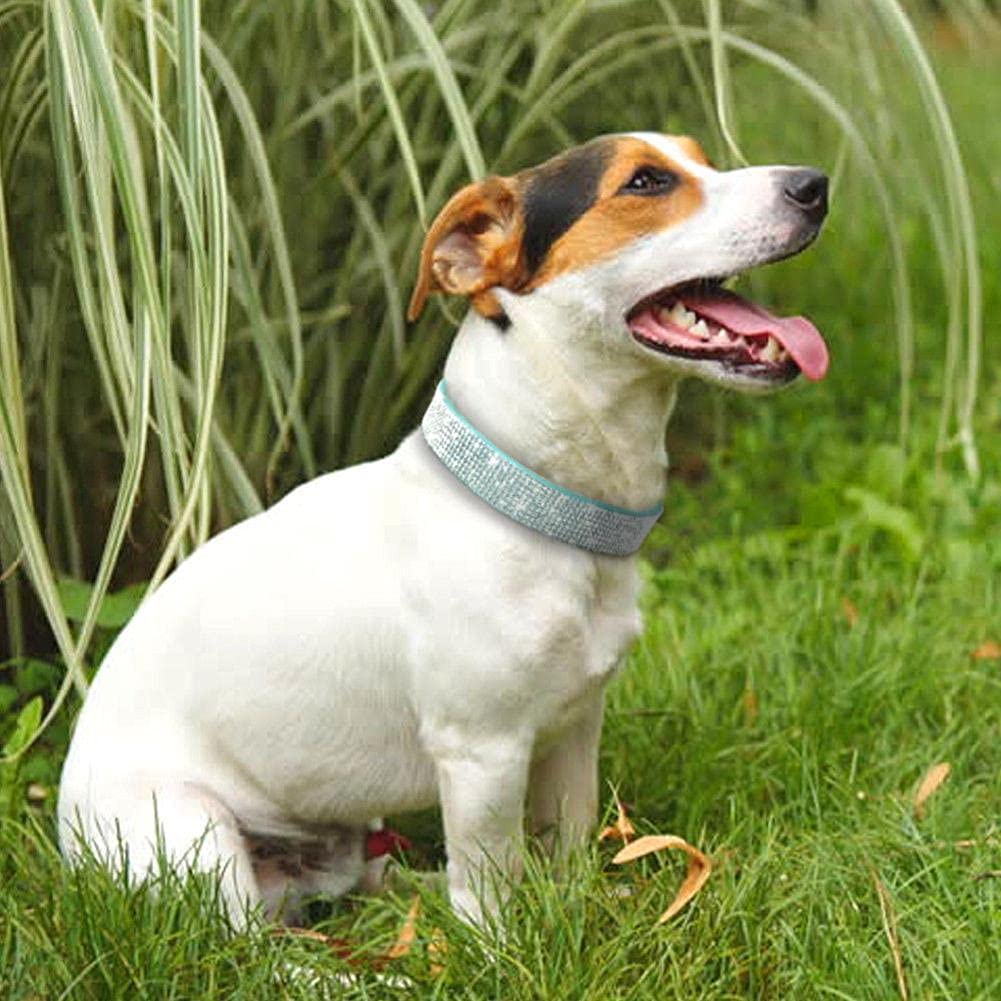 Rhinestone Dog Collar, Cute Dazzling Sparkling Soft Suede Leather Dog Cat Rhinestone Collar Crystal Diamond Pet Dog Puppy Collar (XS, Blue-1)