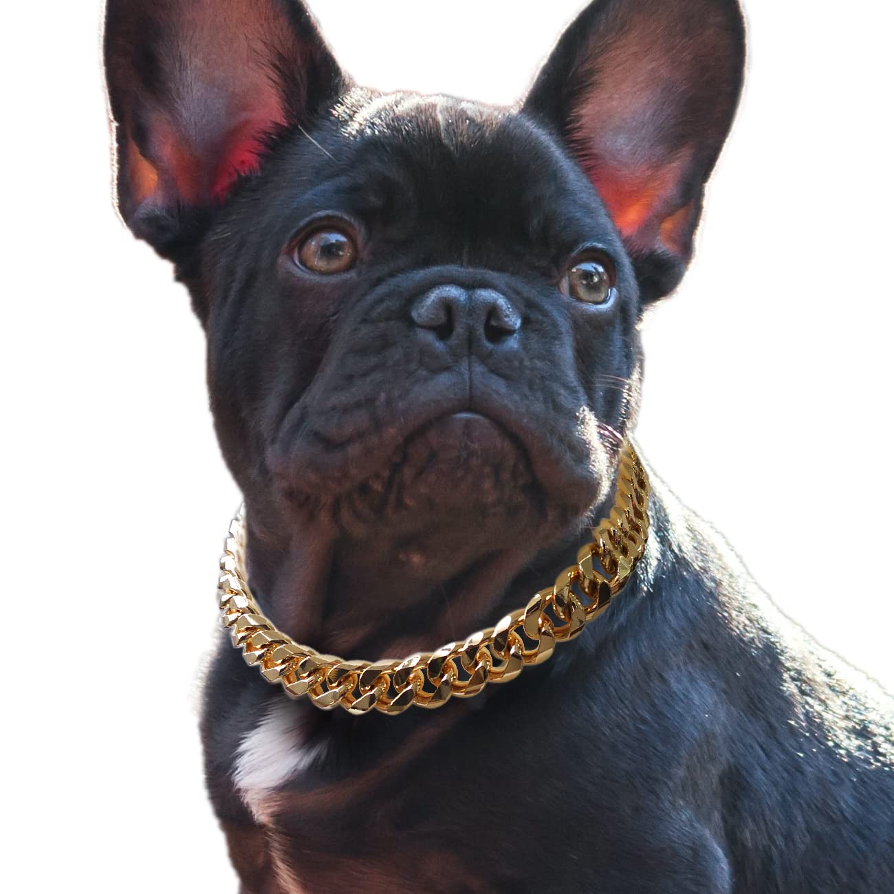 Cuban Link Dog Collar - 3/4 in Wide Metal Chain Dog Collar Venom Black, The Newest Design Stunning Pet Accessory, Cute Luxury Jewelry Costume 20 inches