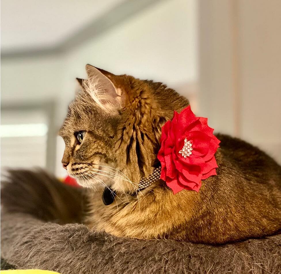 Rhinestone Dog Collar, Cute Dazzling Sparkling Soft Suede Leather Dog Cat Rhinestone Collar Crystal Diamond Pet Dog Puppy Collar (XS, Blue-1)