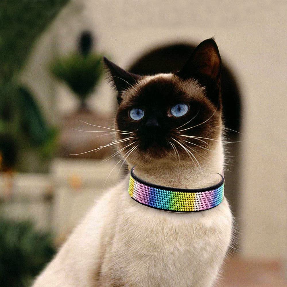 Rhinestone Dog Collar, Cute Dazzling Sparkling Soft Suede Leather Dog Cat Rhinestone Collar Crystal Diamond Pet Dog Puppy Collar (XS, Blue-1)
