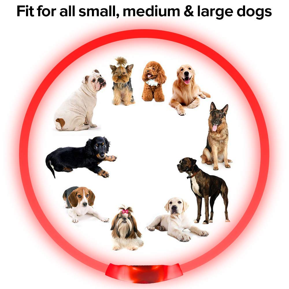 BSeen LED Pet Collar, USB Rechargeable, Glowing for Night Safety, Fashion Light up Collar for Small Medium Large Dogs (Pink)