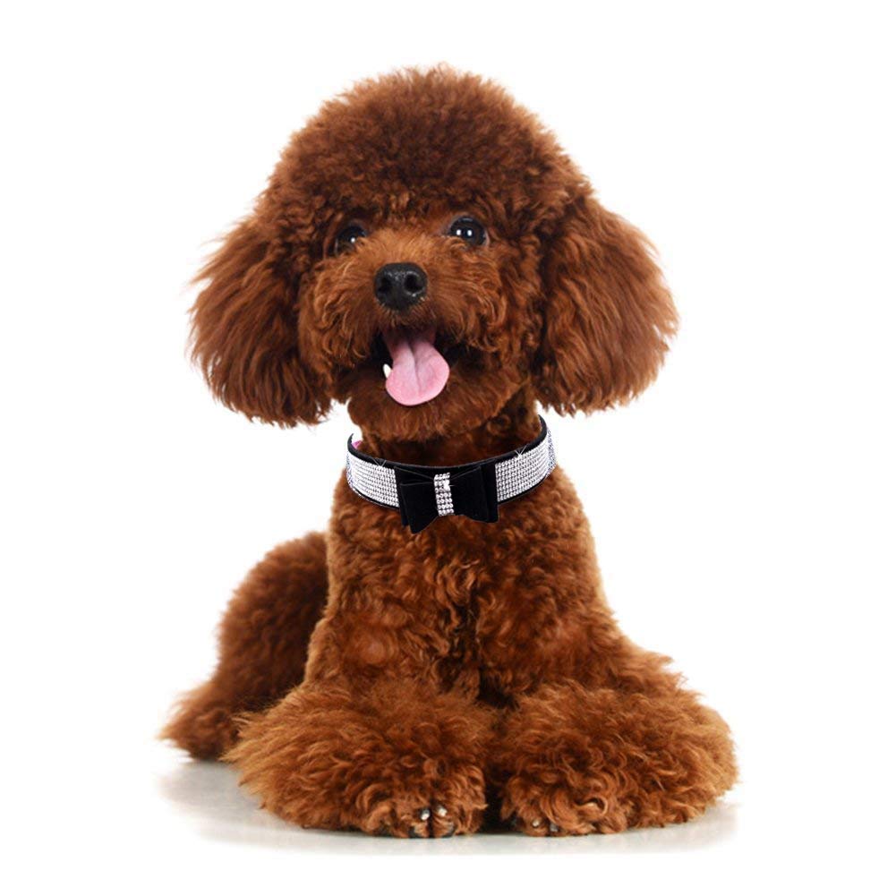 Rhinestone Dog Collar, Cute Dazzling Sparkling Soft Suede Leather Dog Cat Rhinestone Collar Crystal Diamond Pet Dog Puppy Collar (XS, Blue-1)