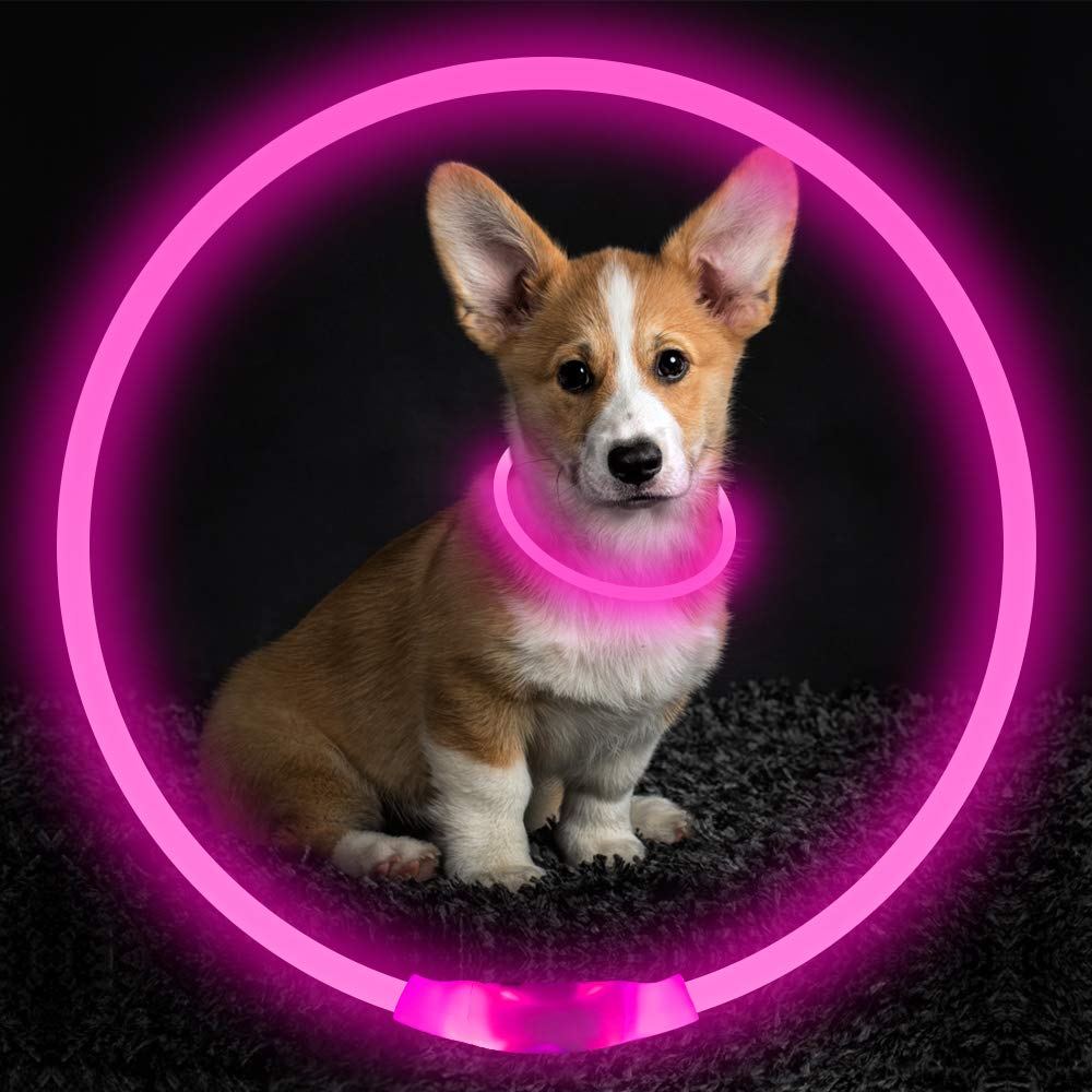 BSeen LED Pet Collar, USB Rechargeable, Glowing for Night Safety, Fashion Light up Collar for Small Medium Large Dogs (Pink)