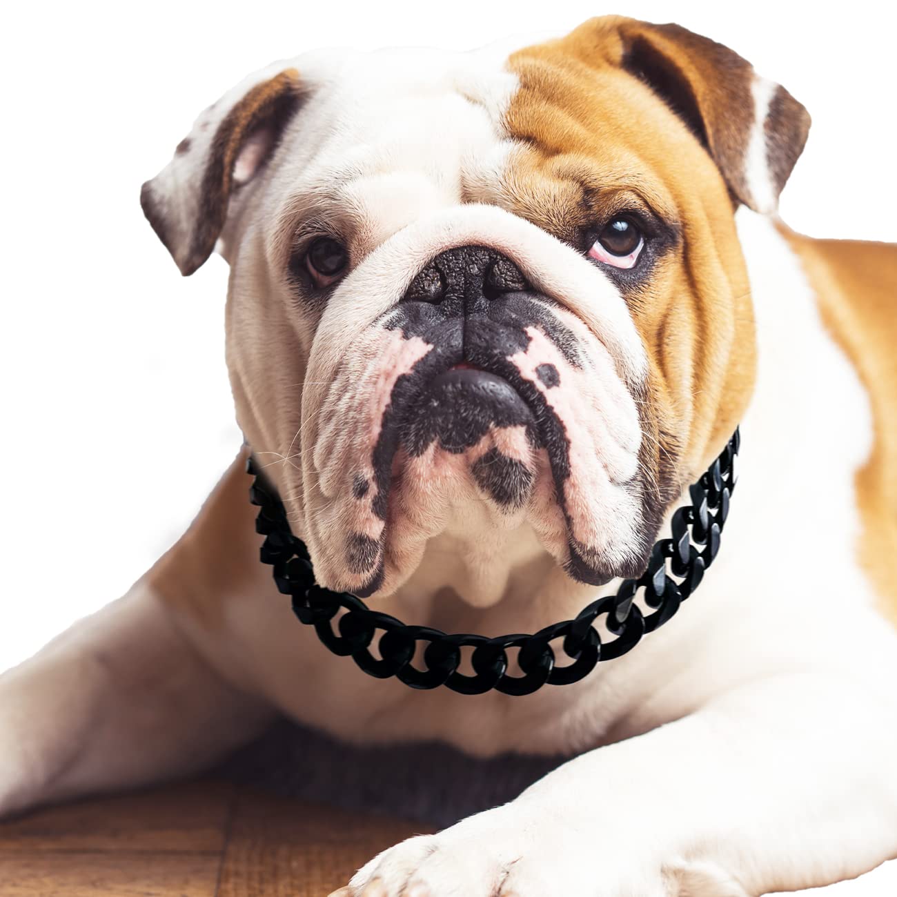 Cuban Link Dog Collar - 3/4 in Wide Metal Chain Dog Collar Venom Black, The Newest Design Stunning Pet Accessory, Cute Luxury Jewelry Costume 20 inches