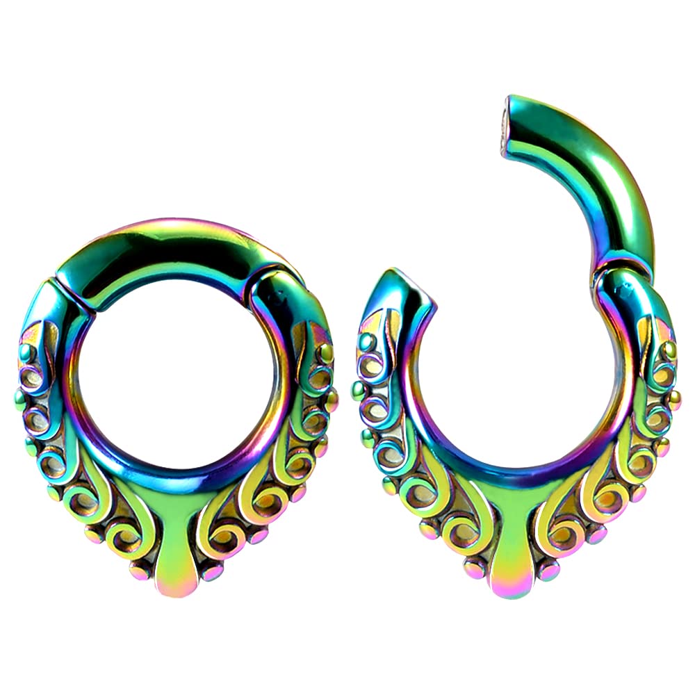 Ear Hanger Weights for Stretched Ear Lobe Stainless Steel Ear Gauges 2g(6mm) Ear Plugs Tunnels Body Piercing Jewelry Kit