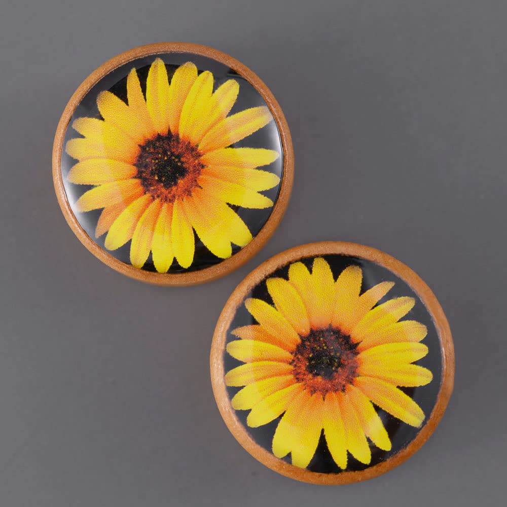 2 PCS Ear Gauges Resin Wood Stretching Ear Tunnels Expanders Body Piercing Jewelry