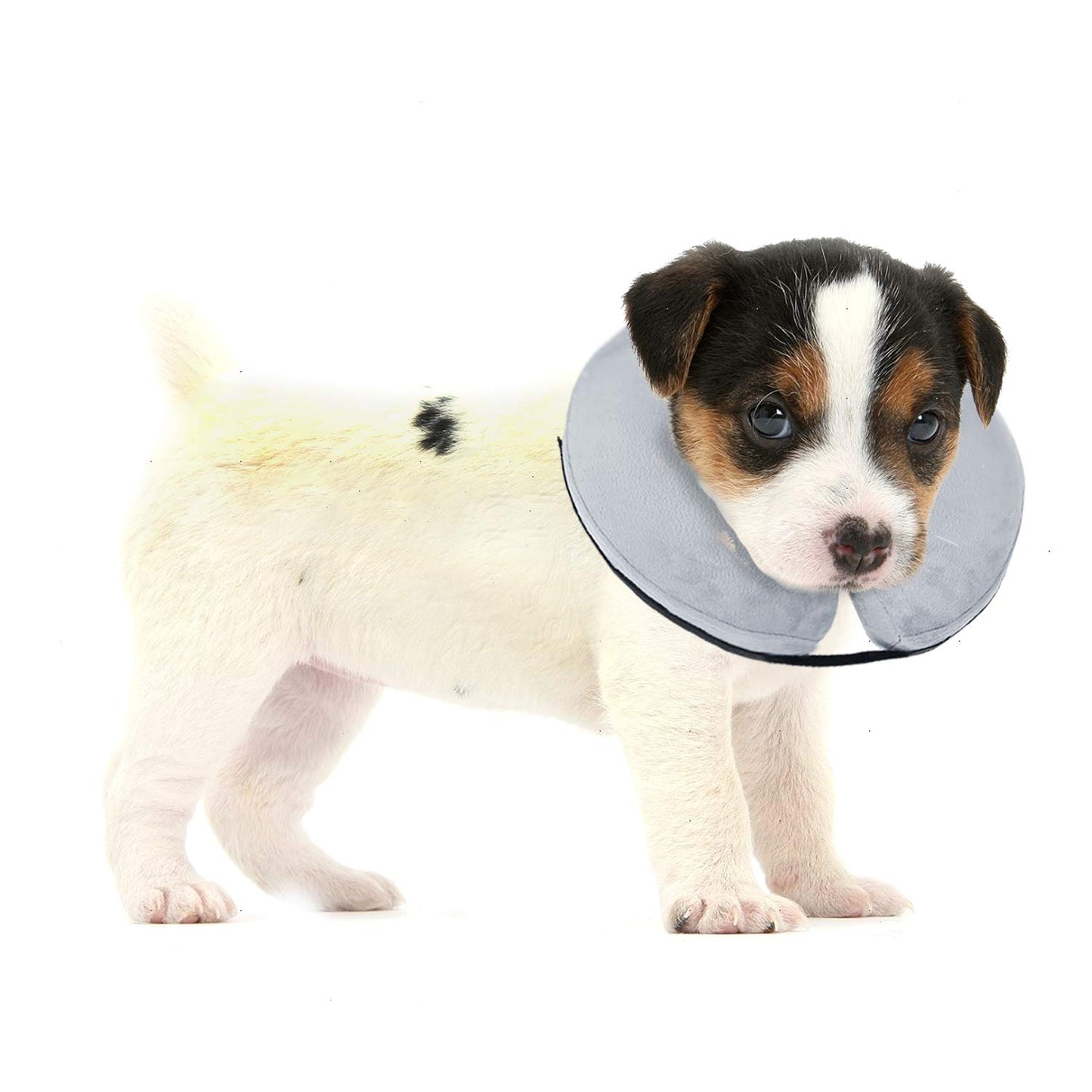 BENCMATE Protective Inflatable Collar for Dogs and Cats - Soft Pet Recovery Collar Does Not Block Vision E-Collar (X-Large, Blue)