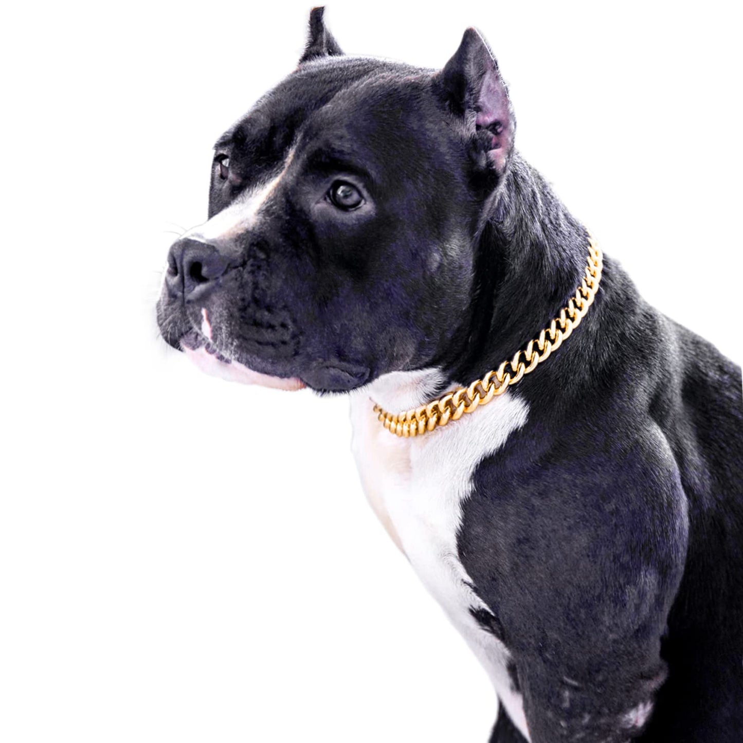 Gold Chain Dog Collar-15mm Cute Dog Collar Pet Gold Necklace Bulldog Light Metal Puppy Jewelry 20" Chain Puppy Costume