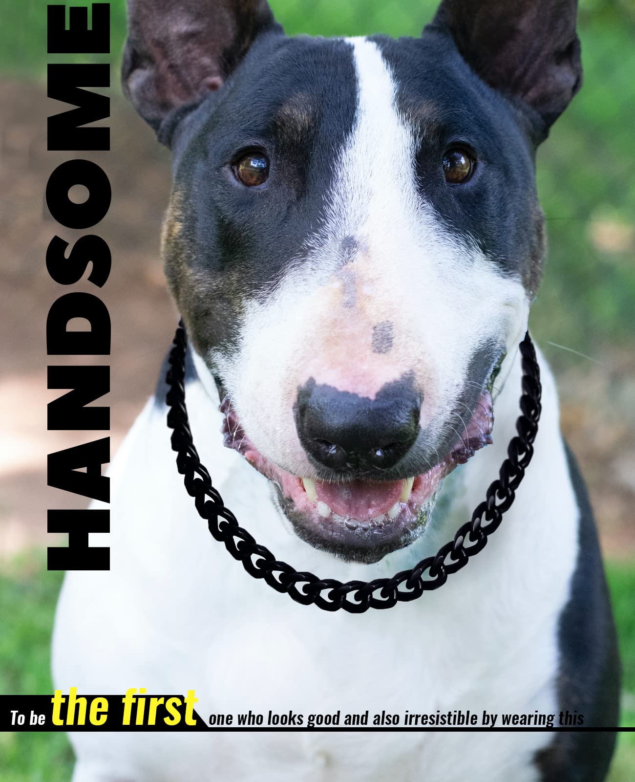 Gold Chain Dog Collar-15mm Cute Dog Collar Pet Gold Necklace Bulldog Light Metal Puppy Jewelry 20" Chain Puppy Costume