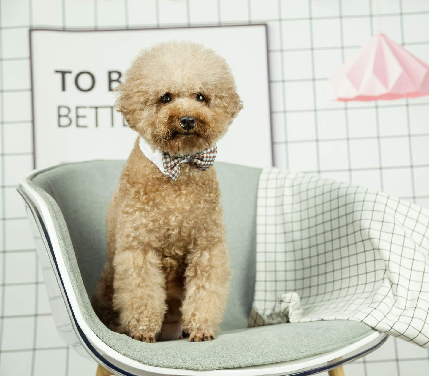 Handcrafted Adjustable Formal Pet Bowtie Collar Neck Tie for Dogs & Cats (S, Black)