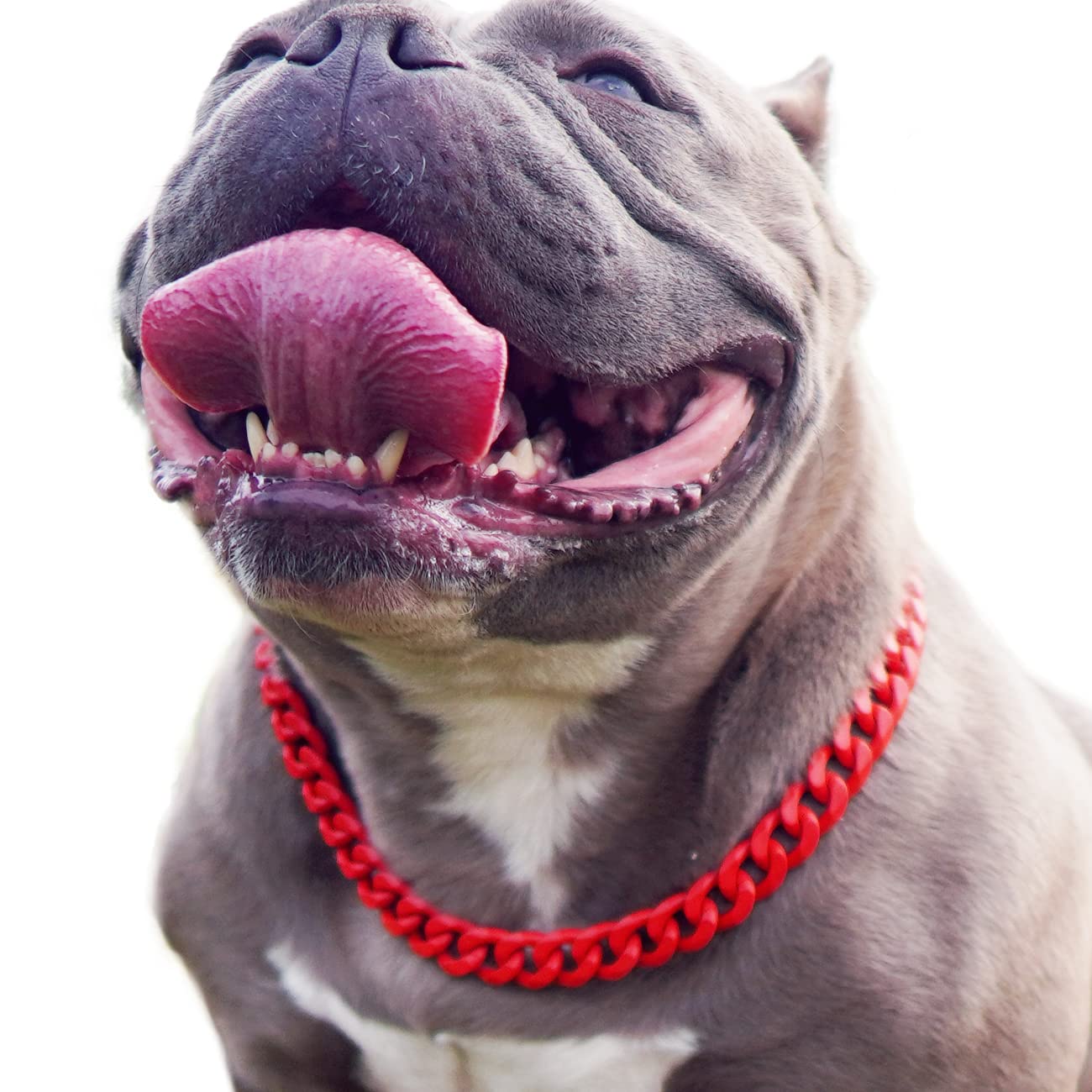 Gold Chain Dog Collar-15mm Cute Dog Collar Pet Gold Necklace Bulldog Light Metal Puppy Jewelry 20" Chain Puppy Costume