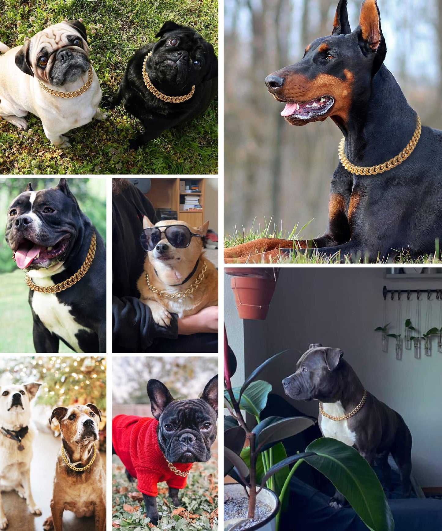 Gold Chain Dog Collar-15mm Cute Dog Collar Pet Gold Necklace Bulldog Light Metal Puppy Jewelry 20" Chain Puppy Costume