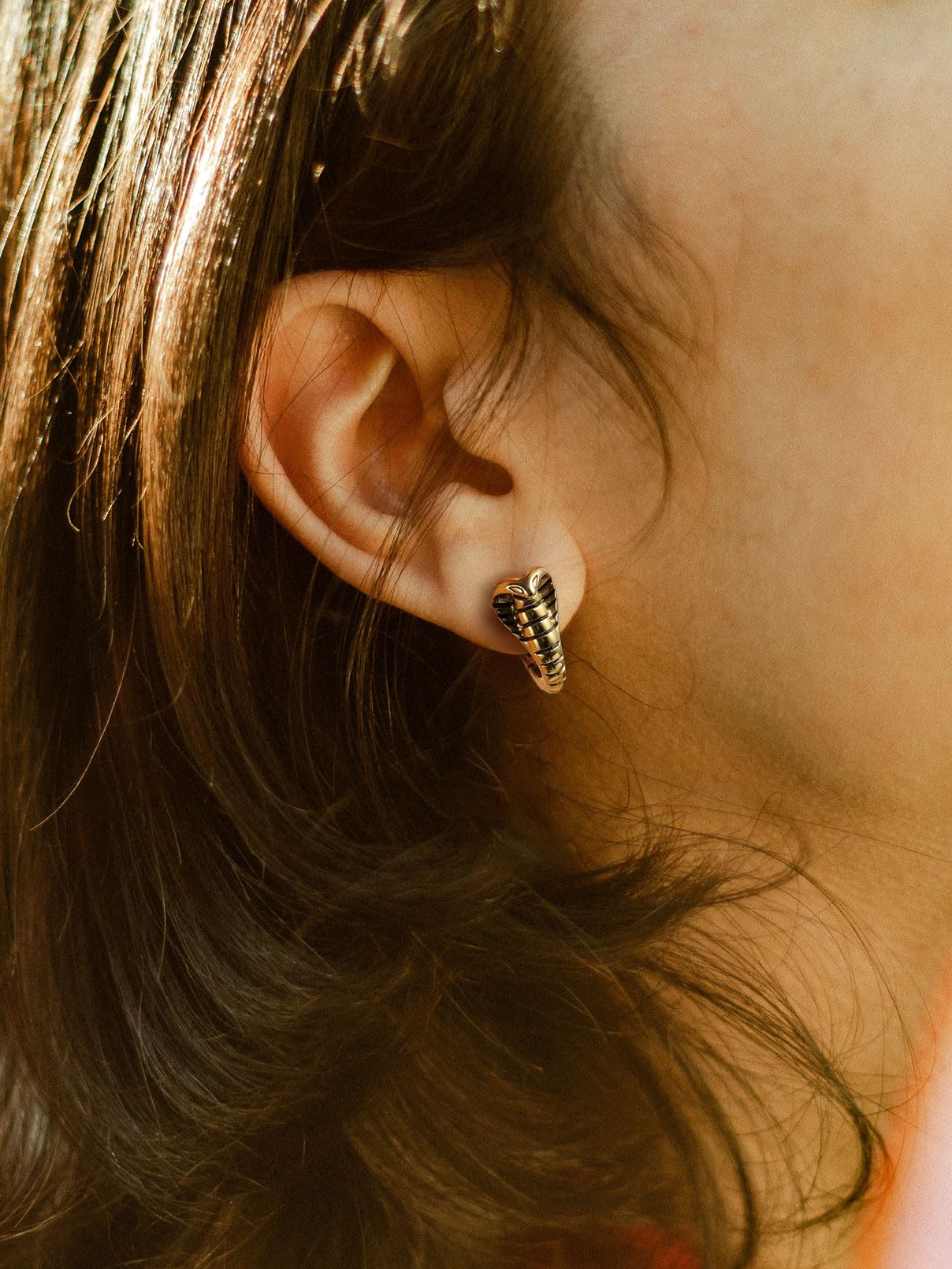 FaithHeart Dragon/Dinosaur/Snake Hoop Earrings for Men, Sturdy Stainless Steel Punk Biker Animals Hypoallergenic Jewelry, Gift Box