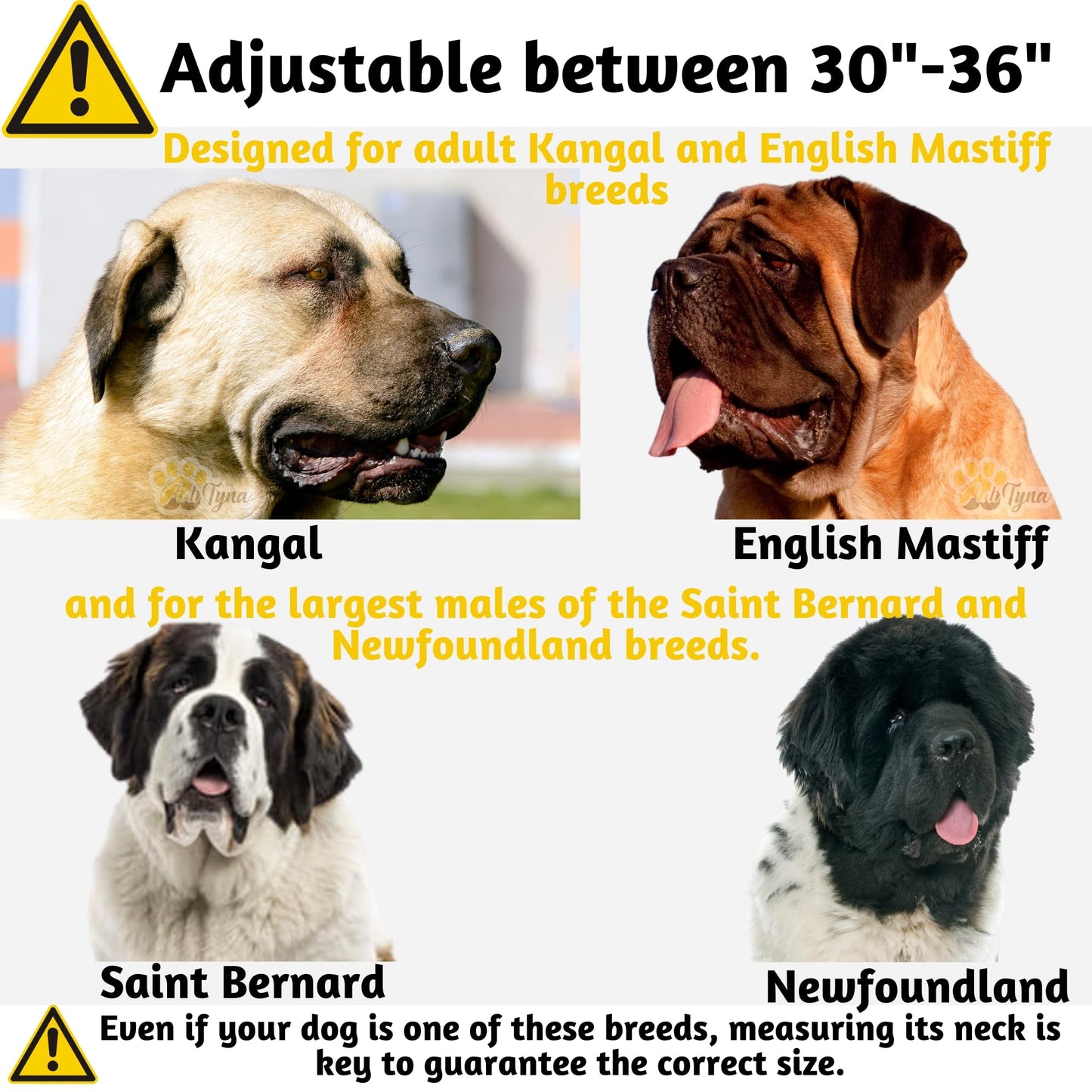 ADITYNA - Heavy Duty Dog Collar with Handle - Thick Dog Collar for Large Dogs - Wide, Reflective, Tactical, Soft Neoprene Padded - Perfect Dog Collar for Training and Walking