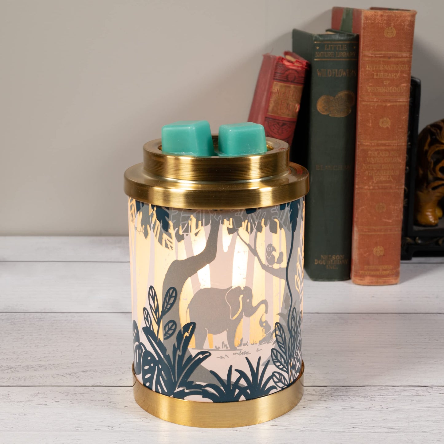 Scentsationals Fantasy Collection - Scented Wax Warmer - Fantasy Wax Cube Melter & Burner - Electric Winter Fragrance Home Air Freshener Gift (Never Grow Up)