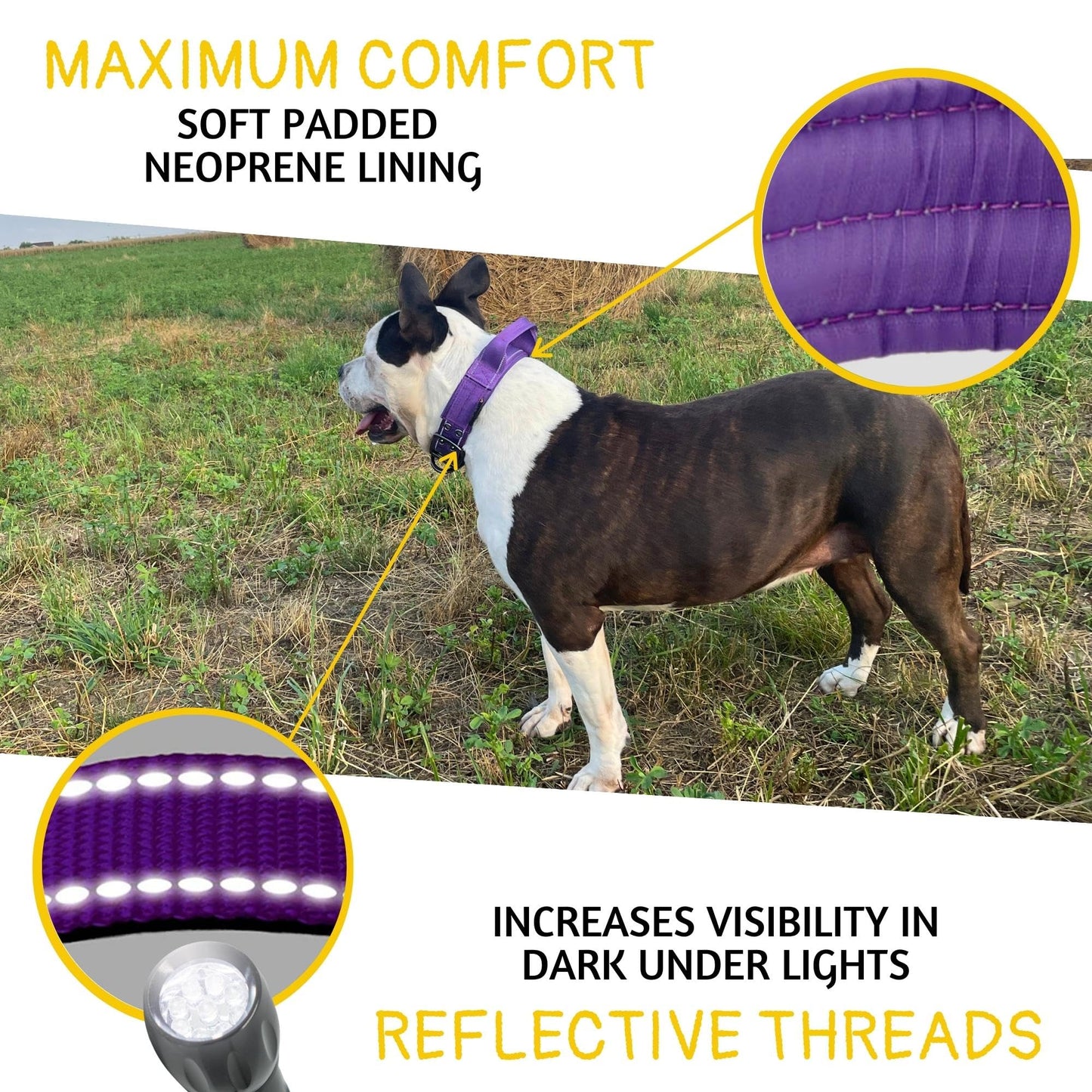 ADITYNA - Heavy Duty Dog Collar with Handle - Thick Dog Collar for Large Dogs - Wide, Reflective, Tactical, Soft Neoprene Padded - Perfect Dog Collar for Training and Walking