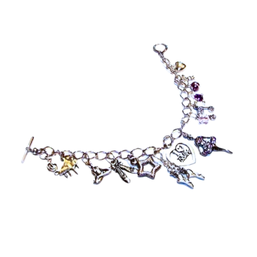 The ART Of DANCE Ltd Charm Bracelet